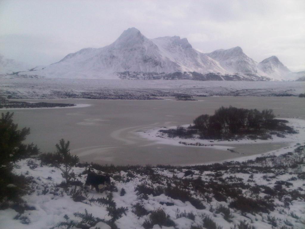 Ben Loyal Hotel ทังก์ ภายนอก รูปภาพ